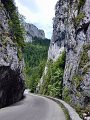 DSCN5592 (web)